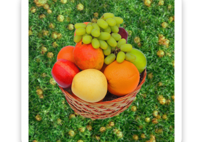 Fruit Catcher Game